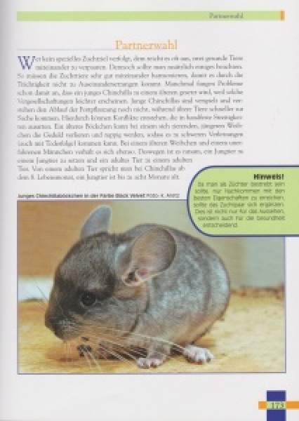 Preview: Leben mit Chinchillas